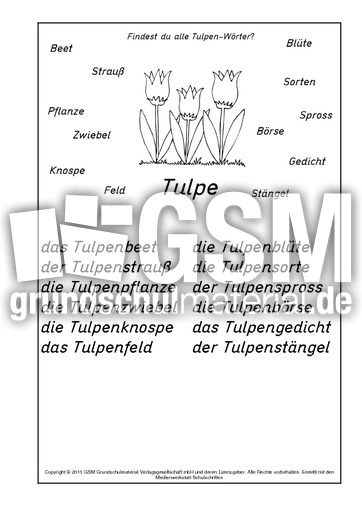 Tulpen-Wörter-Lösung.pdf